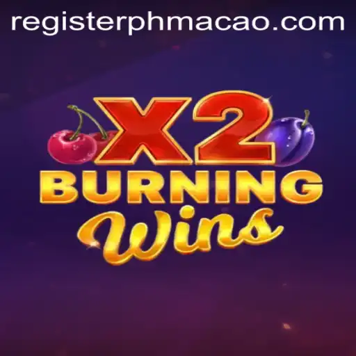 Exploring BurningWinsX2: An Engaging Slot Game Experience